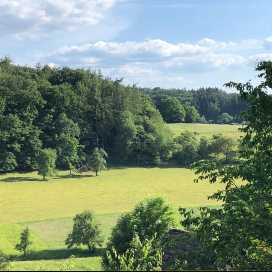 Ferienhaus Hygge Reichelsheim Eksteriør billede